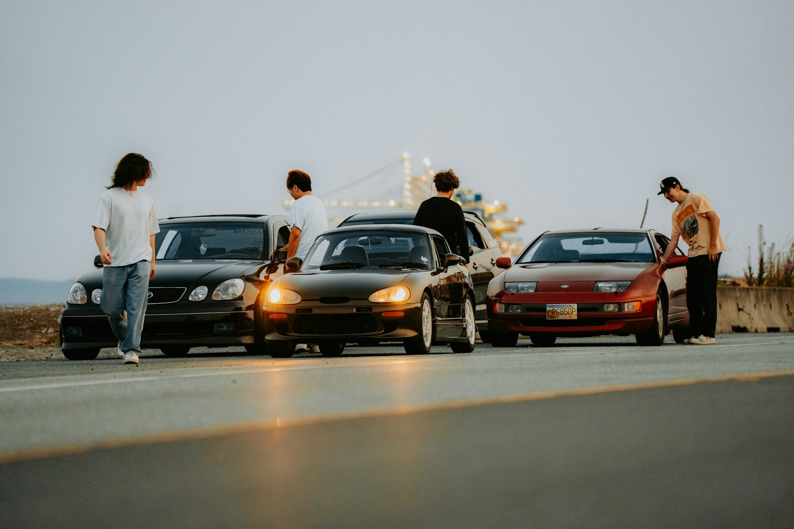 A group of people standing next to a line of parked cars
